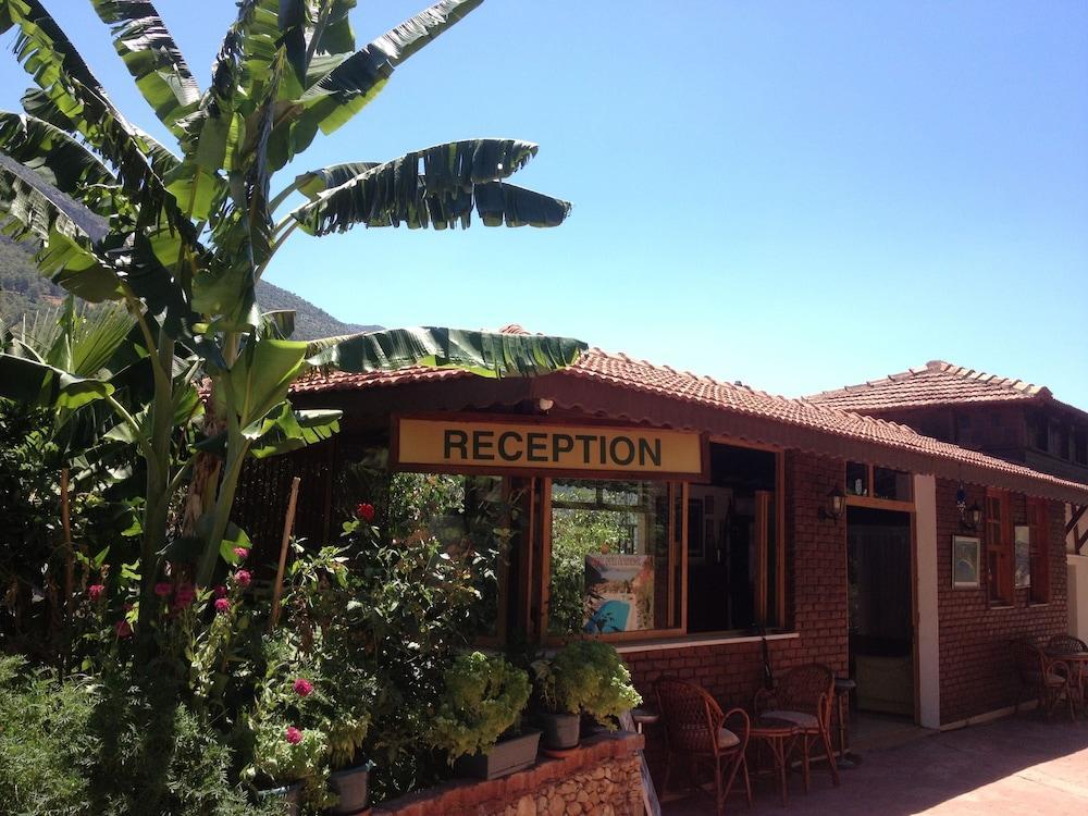 Aygul Hotel Ölüdeniz Zewnętrze zdjęcie